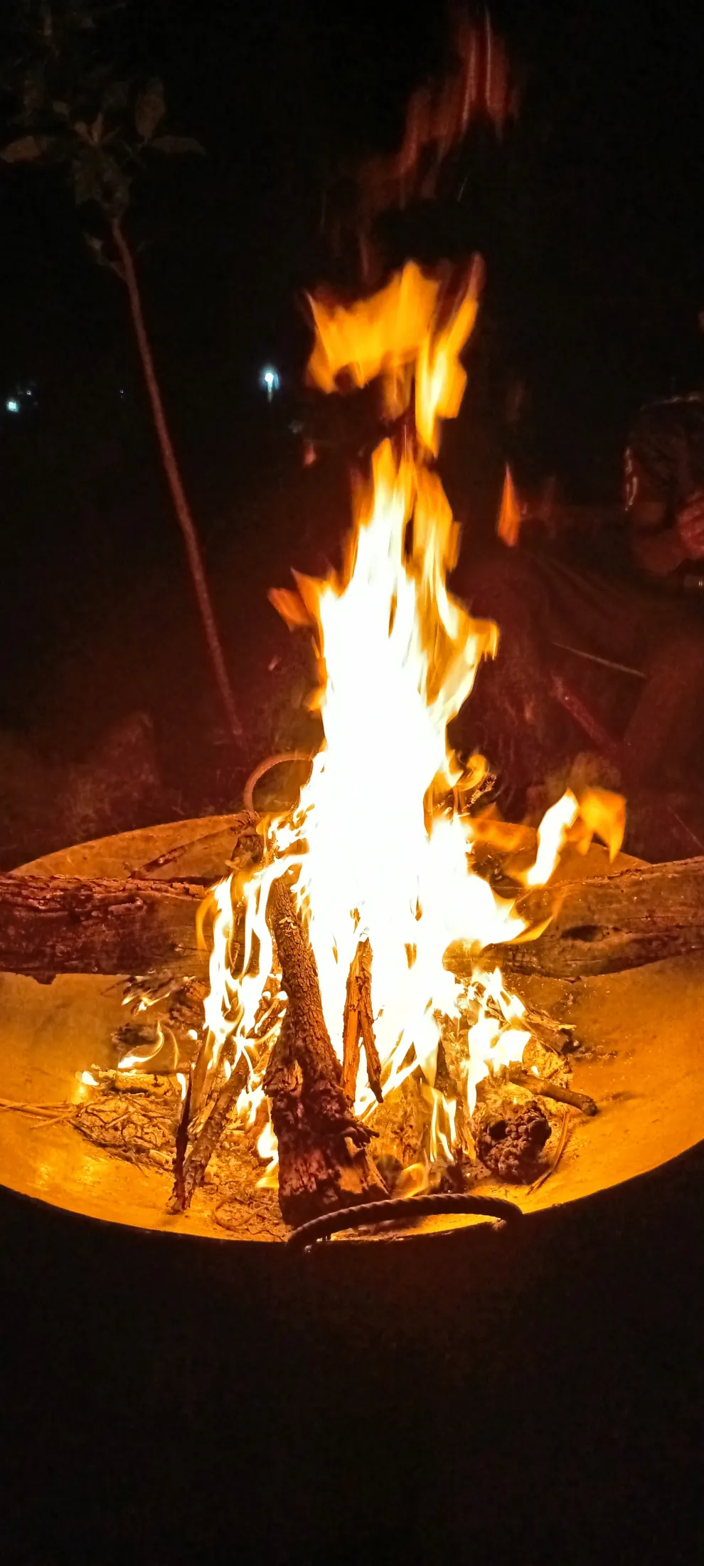 Gallery photograph from Nje Bush Camp