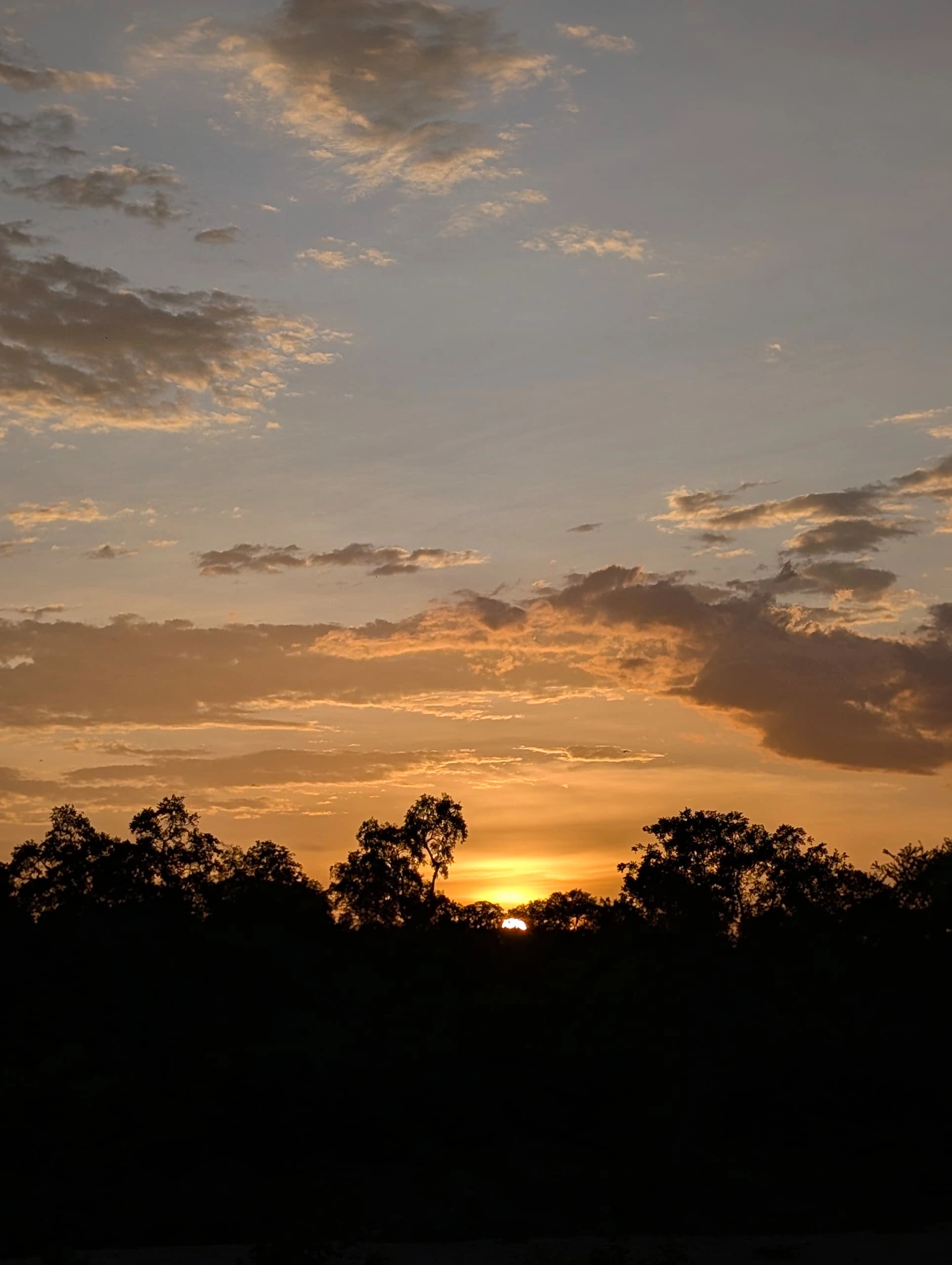 Gallery photograph from Nje Bush Camp