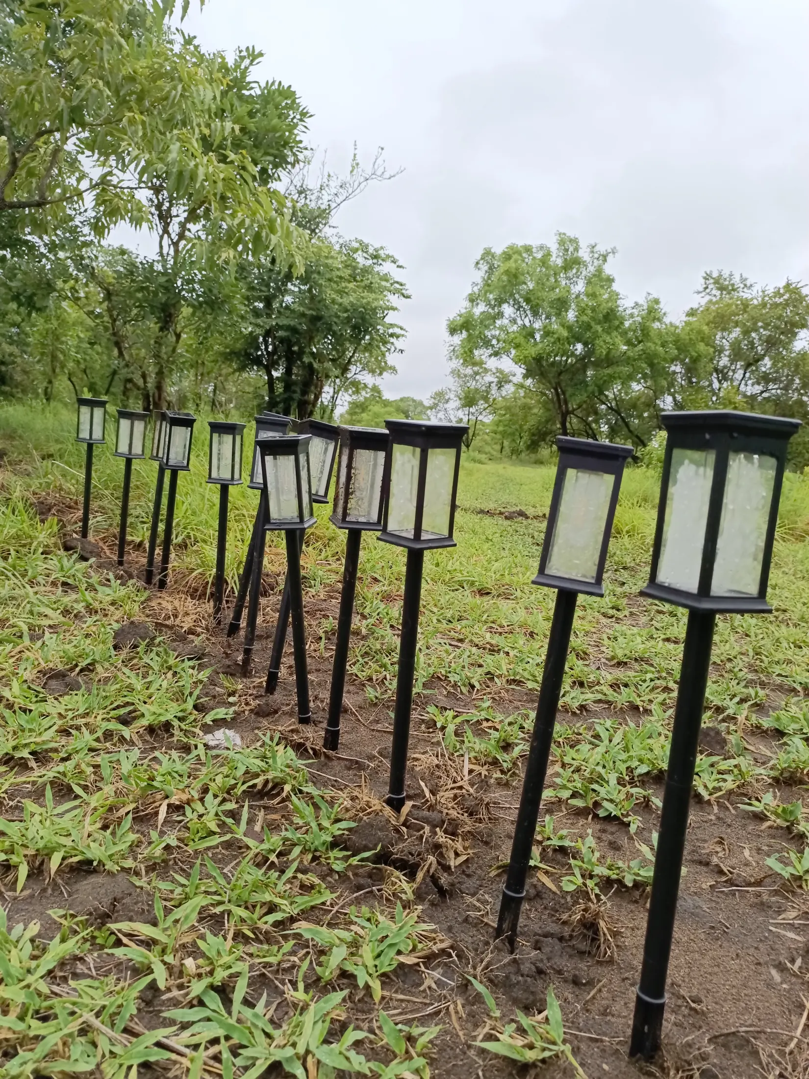 Solar path lights installed in the greenery at Nje Bush Camp
